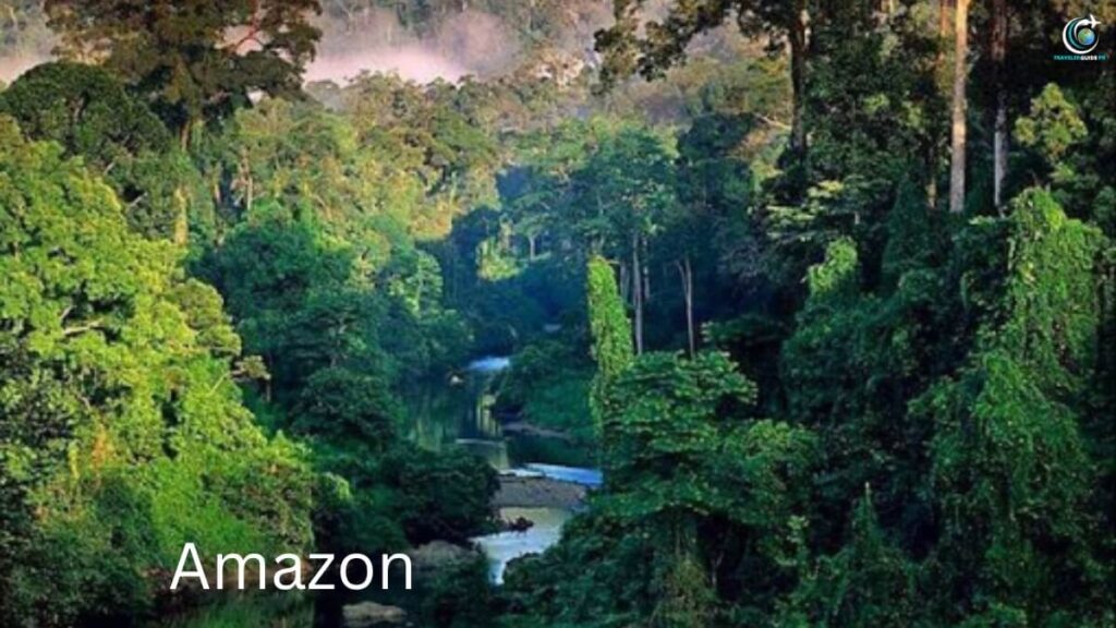 Amazon Rainforest, How to Find Unique Travel Experiences